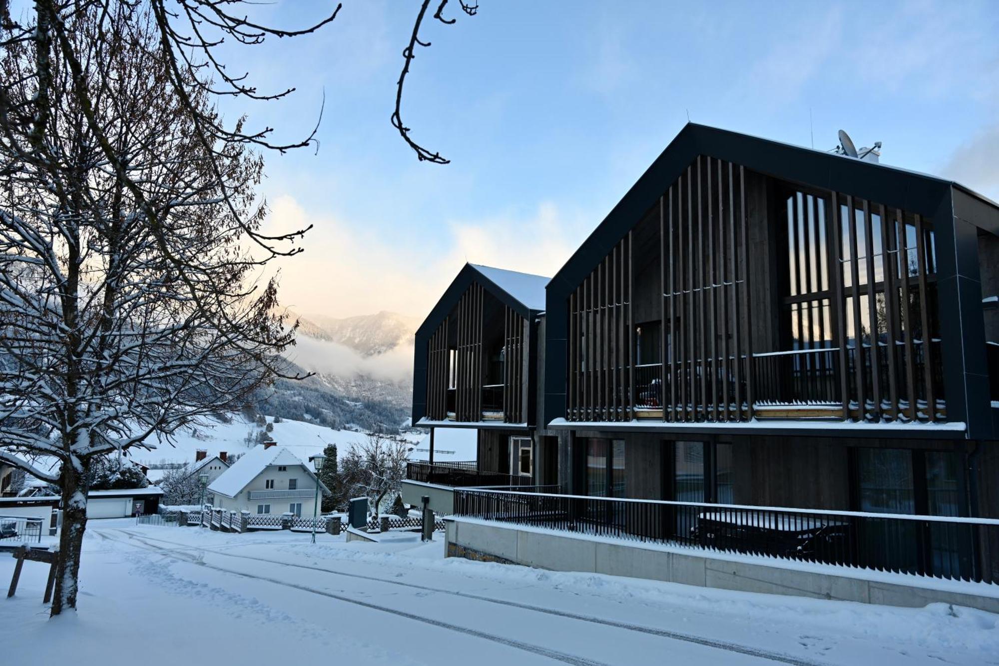 Aloha Suites - Alpin Lodge Haus Haus im Ennstal Eksteriør billede